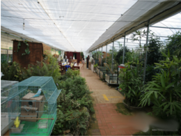 ulsan-theme-botanic-garden